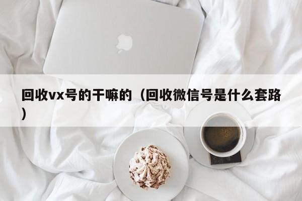 回收vx号的干嘛的（回收微信号是什么套路）